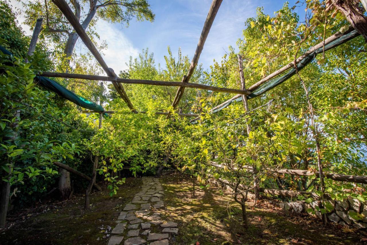 Casa Angelica Villa Sorrento Kültér fotó